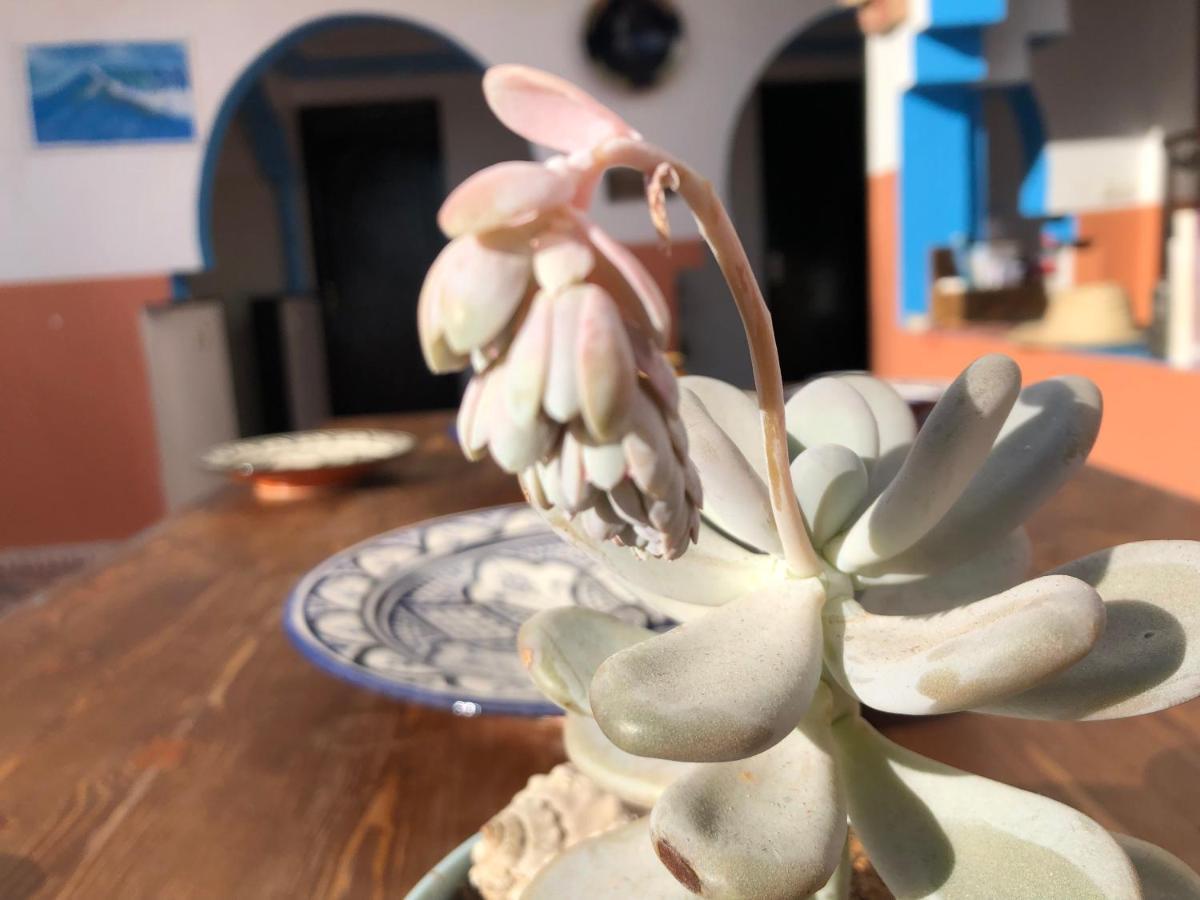 Binic Surf House Bed & Breakfast Taghazout Dış mekan fotoğraf