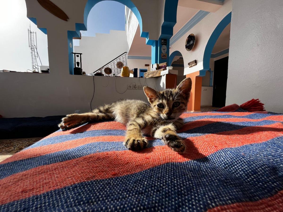 Binic Surf House Bed & Breakfast Taghazout Dış mekan fotoğraf